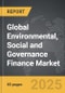 Environmental, Social and Governance (ESG) Finance - Global Strategic Business Report - Product Thumbnail Image