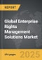 Enterprise Rights Management Solutions - Global Strategic Business Report - Product Thumbnail Image