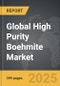 High Purity Boehmite - Global Strategic Business Report - Product Image