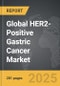 HER2-Positive Gastric Cancer - Global Strategic Business Report - Product Thumbnail Image