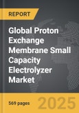 Proton Exchange Membrane (PEM) Small Capacity Electrolyzer - Global Strategic Business Report- Product Image