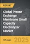 Proton Exchange Membrane (PEM) Small Capacity Electrolyzer - Global Strategic Business Report - Product Thumbnail Image