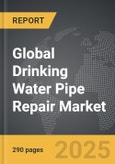 Drinking Water Pipe Repair - Global Strategic Business Report- Product Image