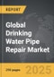Drinking Water Pipe Repair - Global Strategic Business Report - Product Thumbnail Image