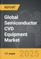Semiconductor CVD Equipment - Global Strategic Business Report - Product Thumbnail Image