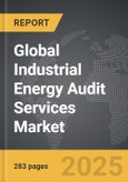 Industrial Energy Audit Services - Global Strategic Business Report- Product Image