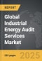 Industrial Energy Audit Services - Global Strategic Business Report - Product Image