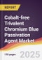 Cobalt-free Trivalent Chromium Blue Passivation Agent Market Report: Trends, Forecast and Competitive Analysis to 2031 - Product Thumbnail Image