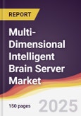 Multi-Dimensional Intelligent Brain Server Market Report: Trends, Forecast and Competitive Analysis to 2031- Product Image