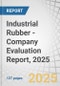 Industrial Rubber - Company Evaluation Report, 2025 - Product Thumbnail Image