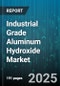 Industrial Grade Aluminum Hydroxide Market by End Use Industry (Adsorbent, Catalyst, Filler), Product Type (High Purity Aluminum Hydroxide, Standard Industrial Grade), Form, Particle Size Range, Distribution Channel, Packaging Type - Global Forecast 2025-2030 - Product Thumbnail Image