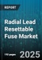 Radial Lead Resettable Fuse Market by Product Type (Ceramic Resettable Fuse, Polymeric PTC Device), End User Industry (Automotive, Consumer Electronics, Healthcare), Application, Material, Current Rating, Voltage Type - Global Forecast 2025-2030 - Product Thumbnail Image