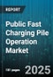 Public Fast Charging Pile Operation Market by Power Level (50 to 150 Kw, Above 150 Kw, Up to 50 Kw), Connector Standard (Ccs, Chademo, Tesla Supercharger), Application, Ownership Model, Payment Model - Global Forecast 2025-2030 - Product Thumbnail Image