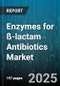 Enzymes for ß-lactam Antibiotics Market by Enzyme Type (Beta Lactamase, Cephalosporin Acylase, Penicillin G Acylase), Application (Cephalosporin Synthesis, Penicillin Synthesis), Product Form, Source, End User - Global Forecast 2025-2030 - Product Image