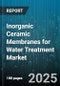 Inorganic Ceramic Membranes for Water Treatment Market by Material Type (Alumina, Mullite, Silicon Carbide), Application (Desalination, Drinking Water, Industrial Water Treatment), Configuration, End-Use Industry, Flow Channel, Module Type, Pore Size - Global Forecast 2025-2030 - Product Thumbnail Image