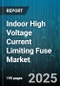 Indoor High Voltage Current Limiting Fuse Market by Fuse Type (Expulsion Fuse, Power Electronics Fuse, Solid-State Fuse), Current Rating (1001 to 5000A, Above 5000A, Up to 1000A), Voltage Class, Application, End Use Industry - Global Forecast 2025-2030 - Product Image