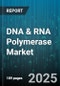DNA & RNA Polymerase Market by Product Type (DNA Polymerase, RNA Polymerase), Application (Conventional PCR, DNA Sequencing, Isothermal Amplification), Technology, End User - Global Forecast 2025-2030 - Product Thumbnail Image