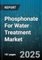 Phosphonate For Water Treatment Market by Type, Application, End User, Treatment Process, Product Form, Distribution Channel - Global Forecast 2025-2030 - Product Thumbnail Image