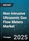 Non-Intrusive Ultrasonic Gas Flow Meters Market by Deployment (Portable, Stationary), Technology (Doppler, Hybrid, Transit Time), Meter Type, Distribution Channel, End User - Global Forecast 2025-2030 - Product Image