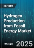 Hydrogen Production from Fossil Energy Market by Technology (Autothermal Reforming, Gasification, Partial Oxidation), Feedstock (Coal, Natural Gas, Oil), Application, CO2 Capture, Capacity, Purity, Ownership - Global Forecast 2025-2030- Product Image