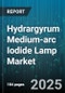 Hydrargyrum Medium-arc Iodide Lamp Market by Type (Ceramic Metal Halide, Probe Start Metal Halide, Pulse Start Metal Halide), Application (Indoor, Outdoor), End User, Distribution Channel, Wattage - Global Forecast 2025-2030 - Product Thumbnail Image
