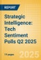 Strategic Intelligence: Tech Sentiment Polls Q2 2025 - Product Thumbnail Image