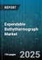 Expendable Bathythermograph Market - Global Forecast 2025-2030 - Product Thumbnail Image