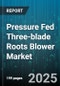 Pressure Fed Three-blade Roots Blower Market by End Use Industry, Drive Type, Pressure Range, Capacity Range, Application, Technology - Global Forecast 2025-2030 - Product Thumbnail Image