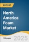 North America Foam Market Size, Share & Trends Analysis Report By Type (PU Foam, PS Foam, PVC Foam, Phenolic Foam, Polyolefin Foam), By Application (Packaging, Building & Construction), By Country, And Segment Forecasts, 2025 - 2033 - Product Thumbnail Image