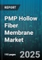 PMP Hollow Fiber Membrane Market by Application (Chemical Processing, Food And Beverage, Gas Separation), End Use Industry (Healthcare, Industrial), Pore Size, Grade, Module Type, Sales Channel - Global Forecast 2025-2030 - Product Thumbnail Image