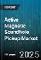 Active Magnetic Soundhole Pickup Market by Distribution Channel (Direct Sales, Music Stores, Online Retail), End User (Hobbyists, Music Institutions, Professional Musicians), Application, Price Range, Guitar Type - Global Forecast 2025-2030 - Product Thumbnail Image