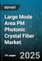 Large Mode Area PM Photonic Crystal Fiber Market by Application, End Use Industry, Operating Wavelength, Distribution Channel, Core Diameter Range, Manufacturing Process - Global Forecast 2025-2030 - Product Thumbnail Image