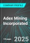Adex Mining Incorporated (ADE:TSX) : Analytics, Extensive Financial Metrics, and Benchmarks Against Averages and Top Companies Within its Industry - Product Thumbnail Image