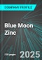 Blue Moon Zinc (MOON:TSX) : Analytics, Extensive Financial Metrics, and Benchmarks Against Averages and Top Companies Within its Industry - Product Thumbnail Image