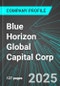 Blue Horizon Global Capital Corp (MOOIF:PINX) : Analytics, Extensive Financial Metrics, and Benchmarks Against Averages and Top Companies Within its Industry - Product Thumbnail Image