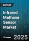 Infrared Methane Sensor Market - Global Forecast to 2030 - Product Image
