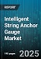 Intelligent String Anchor Gauge Market - Global Forecast to 2030 - Product Thumbnail Image