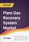 Flare Gas Recovery System Market Report: Trends, Forecast and Competitive Analysis to 2031 - Product Thumbnail Image