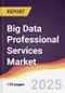 Big Data Professional Services Market Report: Trends, Forecast and Competitive Analysis to 2031 - Product Thumbnail Image