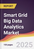 Smart Grid Big Data Analytics Market Report: Trends, Forecast and Competitive Analysis to 2031- Product Image