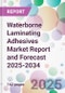 Waterborne Laminating Adhesives Market Report and Forecast 2025-2034 - Product Thumbnail Image