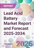 Lead Acid Battery Market Report and Forecast 2025-2034- Product Image