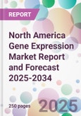 North America Gene Expression Market Report and Forecast 2025-2034- Product Image