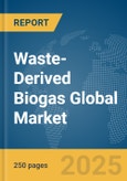 Waste-Derived Biogas Global Market Report 2025- Product Image