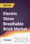 Electric Stove Breathable Brick Market Report: Trends, Forecast and Competitive Analysis to 2031 - Product Thumbnail Image