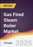 Gas Fired Steam Boiler Market Report: Trends, Forecast and Competitive Analysis to 2031- Product Image