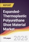 Expanded-Thermoplastic Polyurethane Shoe Material Market Report: Trends, Forecast and Competitive Analysis to 2031 - Product Thumbnail Image