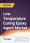 Low Temperature Curing Epoxy Agent Market Report: Trends, Forecast and Competitive Analysis to 2031 - Product Thumbnail Image