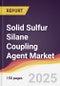 Solid Sulfur Silane Coupling Agent Market Report: Trends, Forecast and Competitive Analysis to 2031 - Product Image