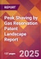 Peak Shaving by Gas Reservation Patent Landscape Report - Product Thumbnail Image